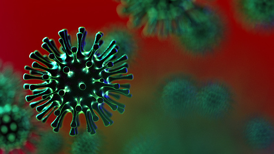 Due to the two H3N2 virus deaths reported in India